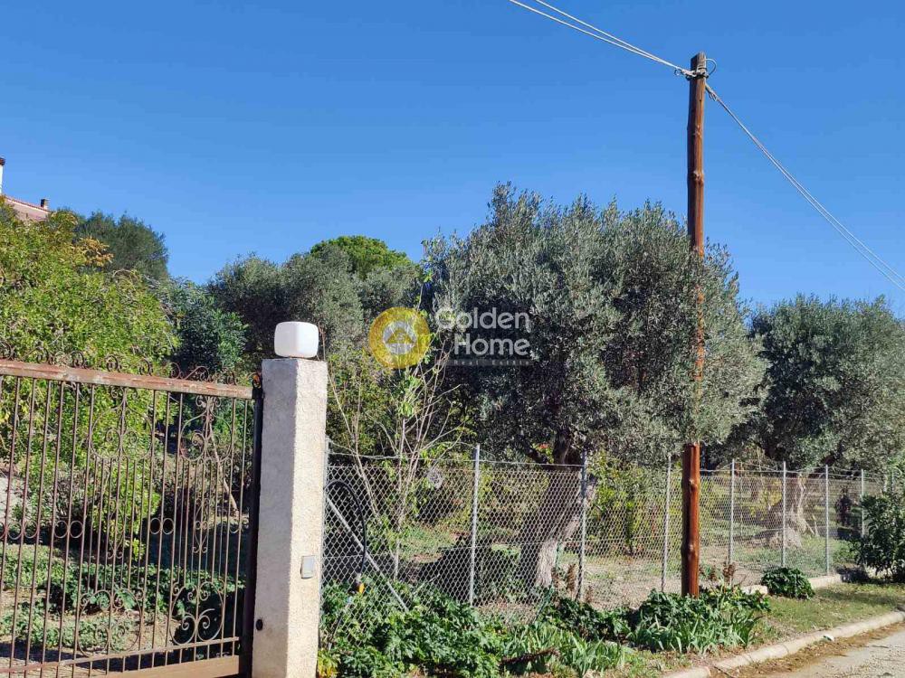 Οικόπεδο 4.600 τ.μ. προς πώληση, Αττική - Υπόλοιπο, Κερατέα
