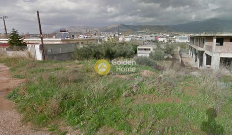 Οικόπεδο 395τ.μ. για πώληση-Φυλή » Ζωφριά