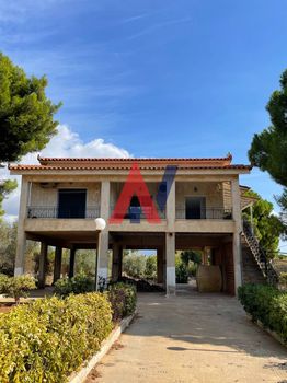 Μονοκατοικία 230 τ.μ. για πώληση