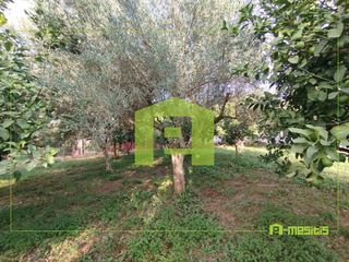 Οικόπεδο 653 τ.μ. για πώληση, Αχαΐα, Αίγιο-thumb-11