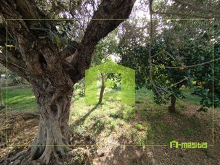 Οικόπεδο 653 τ.μ. για πώληση, Αχαΐα, Αίγιο-thumb-15