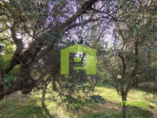 Οικόπεδο 653 τ.μ. για πώληση, Αχαΐα, Αίγιο-thumb-13