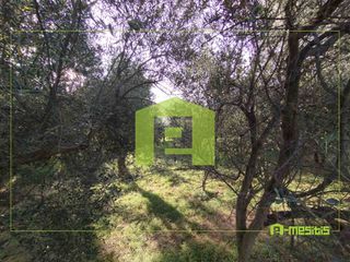 Οικόπεδο 653 τ.μ. για πώληση, Αχαΐα, Αίγιο-thumb-17