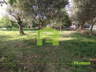 Οικόπεδο 653 τ.μ. για πώληση, Αχαΐα, Αίγιο-thumb-12