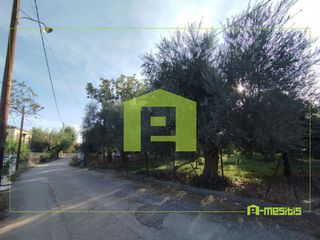Οικόπεδο 653 τ.μ. για πώληση, Αχαΐα, Αίγιο-thumb-19