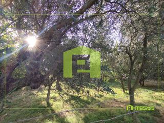 Οικόπεδο 653 τ.μ. για πώληση, Αχαΐα, Αίγιο-thumb-16
