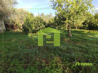 Οικόπεδο 653 τ.μ. για πώληση, Αχαΐα, Αίγιο-thumb-1
