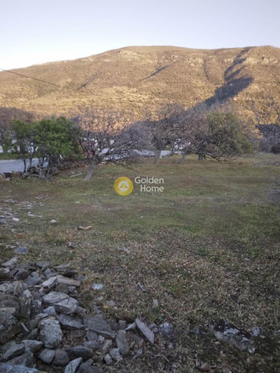Οικόπεδο 7.168 τ.μ. προς πώληση, Κυκλάδες, Άνδρος