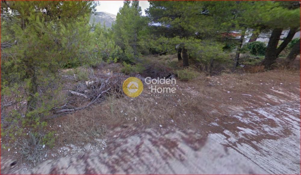 Οικόπεδο 802 τ.μ. προς πώληση, Αθήνα - Βόρεια Προάστια, Διόνυσος