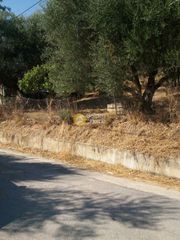 Αγροτεμάχια 949 τ.μ. προς πώληση, Μιντιλόγλι-thumb-3
