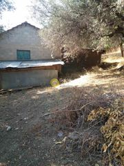 Αγροτεμάχια 949 τ.μ. προς πώληση, Μιντιλόγλι-thumb-4