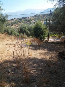 Αγροτεμάχια 949τ.μ. για πώληση-Παραλία » Μιντιλόγλι
