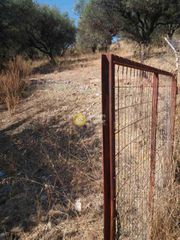 Αγροτεμάχια 949 τ.μ. προς πώληση, Μιντιλόγλι-thumb-6
