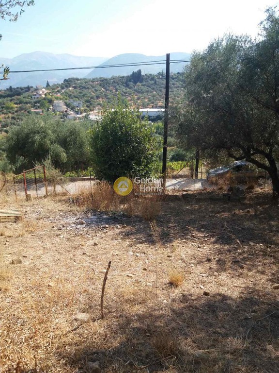 Αγροτεμάχια 949 τ.μ. προς πώληση, Μιντιλόγλι