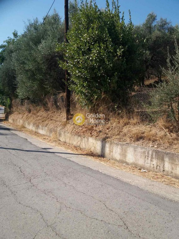 Αγροτεμάχια 949 τ.μ. προς πώληση, Μιντιλόγλι