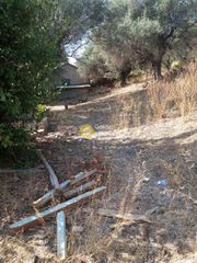 Αγροτεμάχια 949 τ.μ. προς πώληση, Μιντιλόγλι-thumb-5