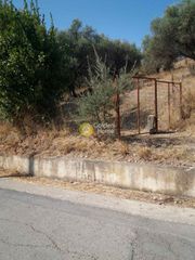 Αγροτεμάχια 949 τ.μ. προς πώληση, Μιντιλόγλι-thumb-7
