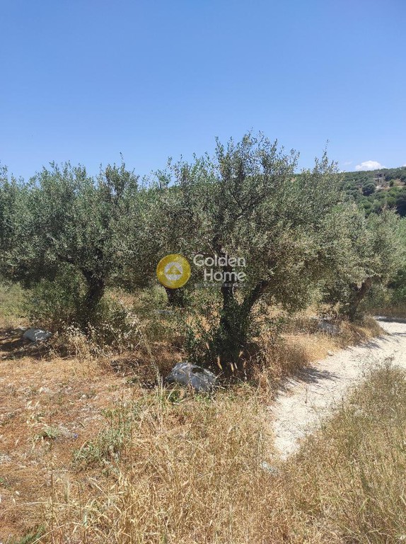 Οικόπεδο 611 τ.μ. προς πώληση, Ν. Ηρακλείου, Αρχάνες