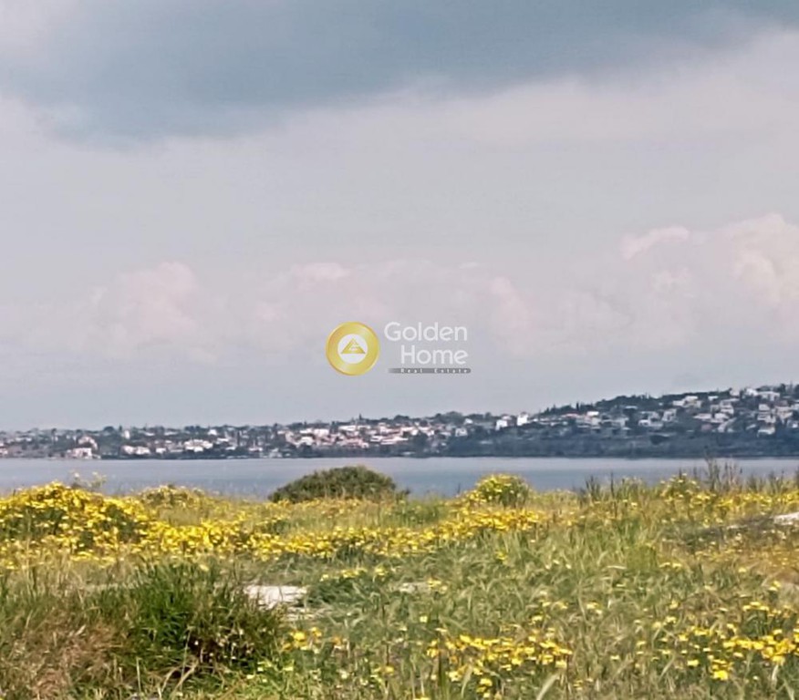 Οικόπεδο 10.000 τ.μ. προς πώληση, Νησιά Αργοσαρωνικού, Αίγινα