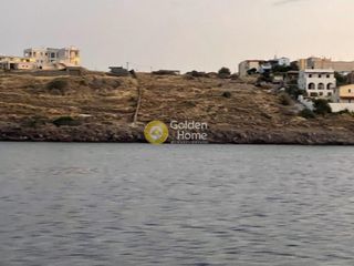 Οικόπεδο 10.000 τ.μ. για πώληση