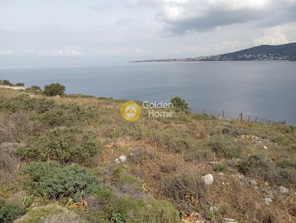 Οικόπεδο 10.000 τ.μ. προς πώληση, Νησιά Αργοσαρωνικού, Αίγινα