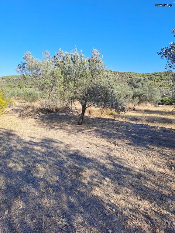Οικόπεδο 835 τ.μ. πρός πώληση, Νησιά Αργοσαρωνικού, Αίγινα