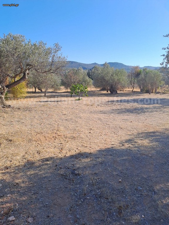 Οικόπεδο 835 τ.μ. πρός πώληση, Νησιά Αργοσαρωνικού, Αίγινα
