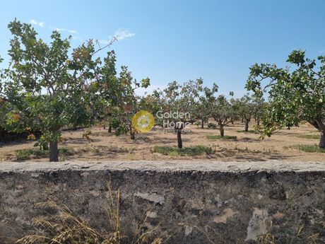 Land plot 5.120sqm for sale-Aegina » Livadi