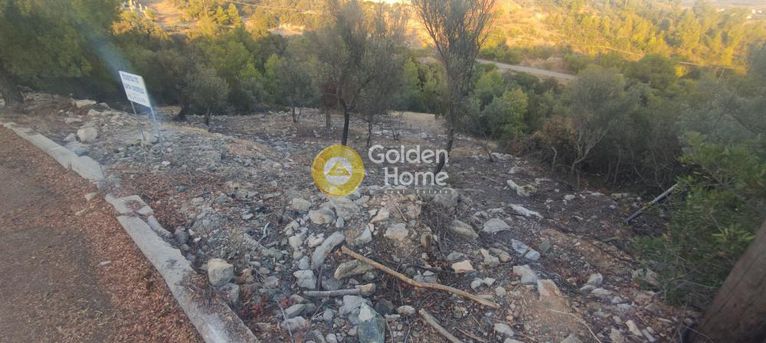 Οικόπεδο 1.118 τ.μ. για πώληση, Φθιώτιδας, Μαλεσίνα