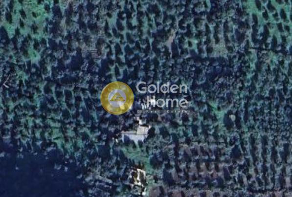 Land plot 786 sqm for sale, Arcadia, Leonidio