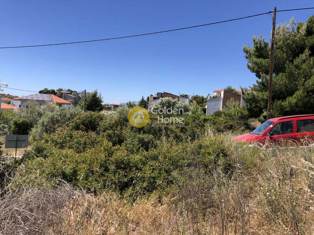 Οικόπεδο 571 τ.μ. προς πώληση, Καλλιτεχνούπολη