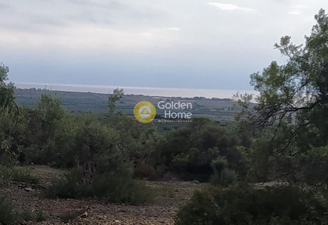 Parcel 9.000sqm for sale-Ormilia » Psakoudia