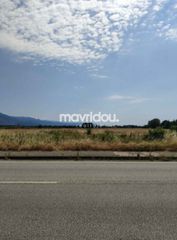 Οικόπεδο 1.010 τ.μ. πρός πώληση, Ν. Ξάνθης, Βιστωνίδα-thumb-1