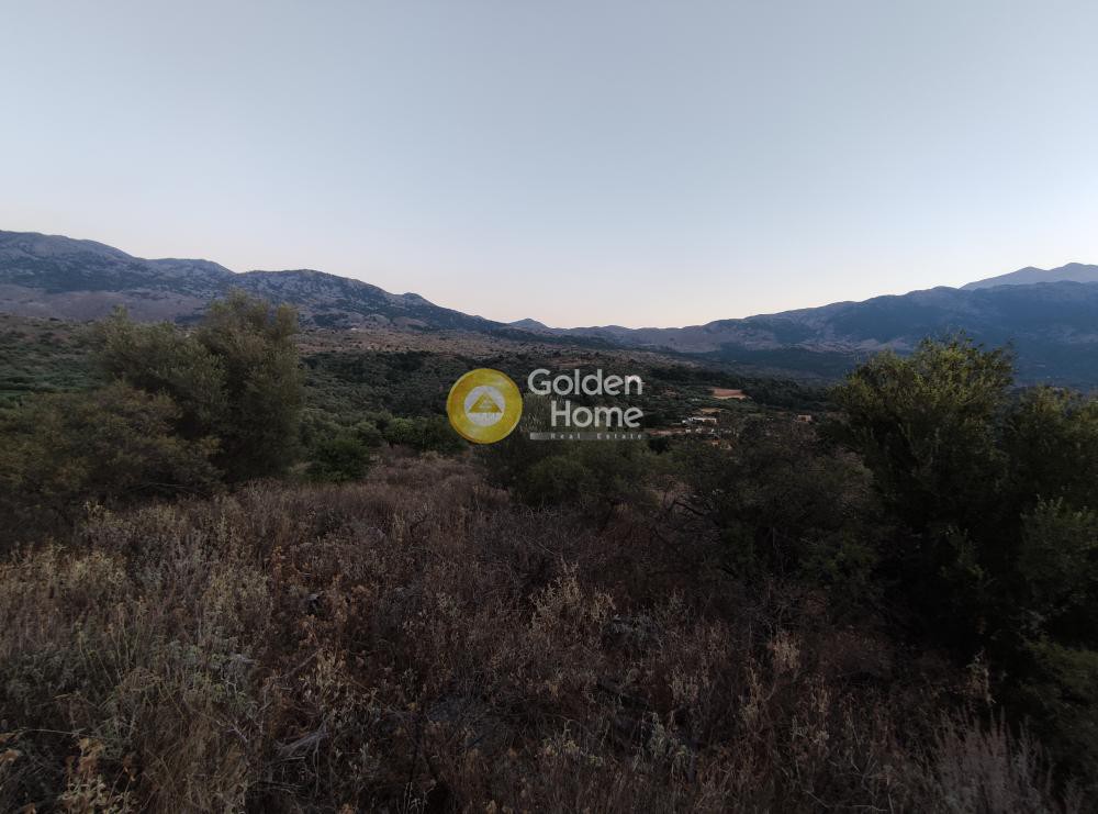 Οικόπεδο 11.480 τ.μ. προς πώληση, Αλίκαμπος
