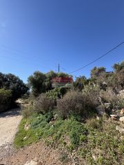 Οικόπεδο 1.022 τ.μ. προς πώληση