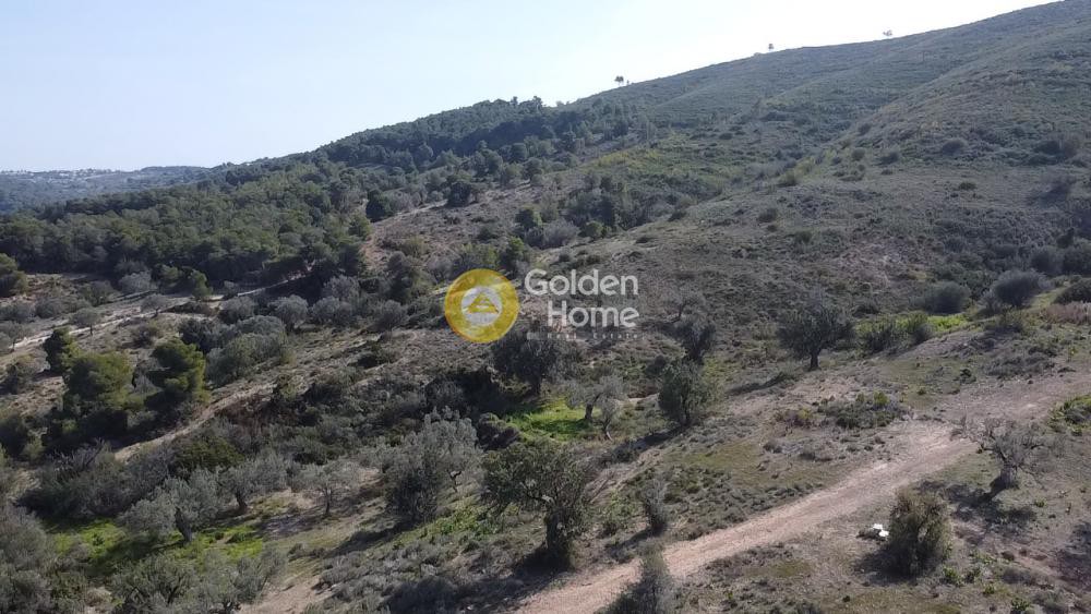 Land plot 22.755 sqm for sale, Thini
