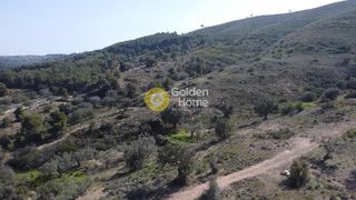 Οικόπεδο 22.755 τ.μ. για πώληση, Αργολίδα, Κρανίδι-thumb-4