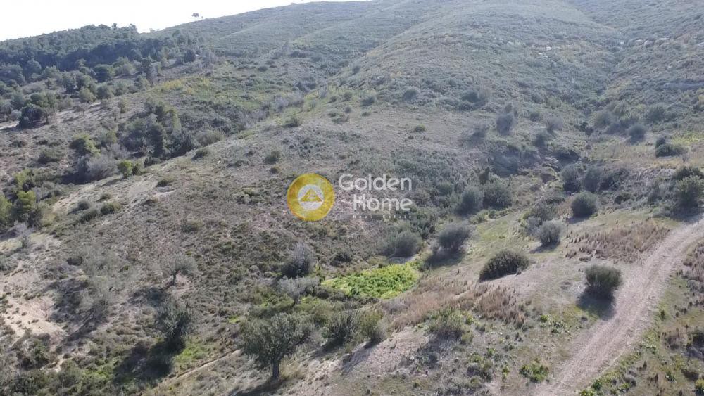 Land plot 22.755 sqm for sale, Thini
