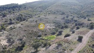 Οικόπεδο 22.755 τ.μ. για πώληση, Αργολίδα, Κρανίδι-thumb-2