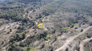 Οικόπεδο 22.755 τ.μ. για πώληση, Αργολίδα, Κρανίδι-thumb-14