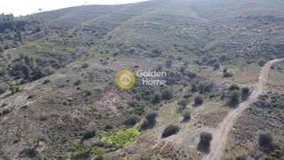 Οικόπεδο 22.755 τ.μ. για πώληση, Αργολίδα, Κρανίδι-thumb-5