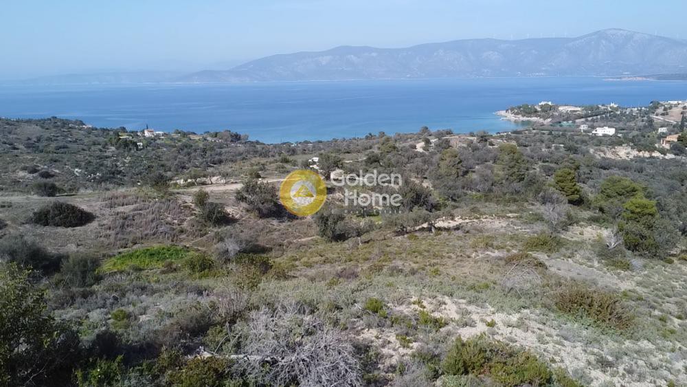 Οικόπεδο 22.755 τ.μ. για πώληση, Αργολίδα, Κρανίδι