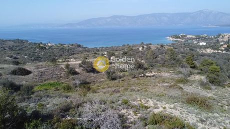 Οικόπεδο 22.755τ.μ. για πώληση-Κρανίδι » Θυνί