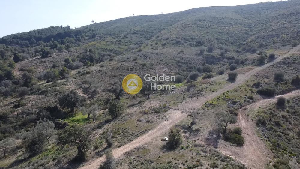 Land plot 22.755 sqm for sale, Thini