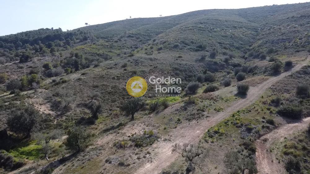 Land plot 22.755 sqm for sale, Thini