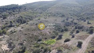 Οικόπεδο 22.755 τ.μ. για πώληση, Αργολίδα, Κρανίδι-thumb-6