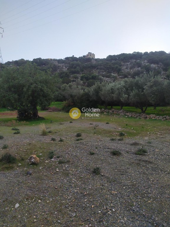 Οικόπεδο 3.750 τ.μ. προς πώληση, Ξηρόκαμπος Αγίου Νικολάου