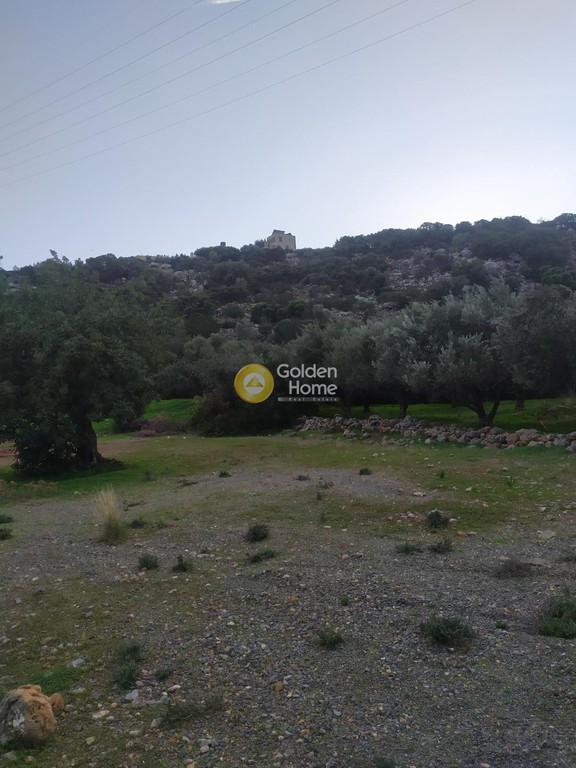 Οικόπεδο 3.750 τ.μ. προς πώληση, Ξηρόκαμπος Αγίου Νικολάου