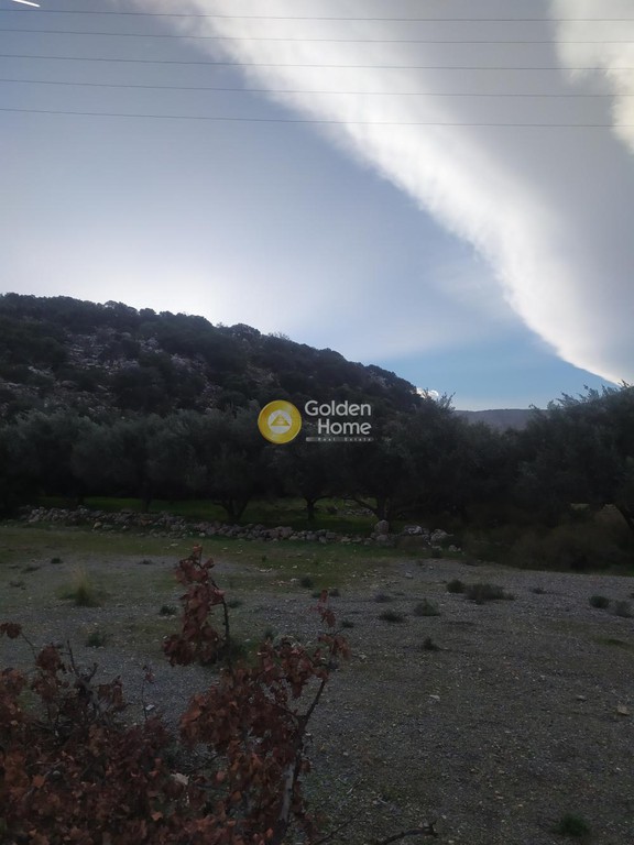 Οικόπεδο 3.750 τ.μ. προς πώληση, Ξηρόκαμπος Αγίου Νικολάου