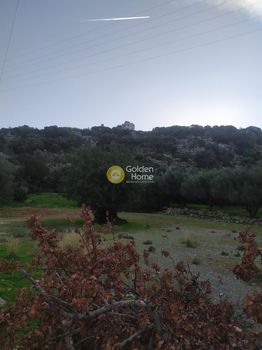 Οικόπεδο 3.750τ.μ. για πώληση-Άγιος νικόλαος » Ξηρόκαμπος